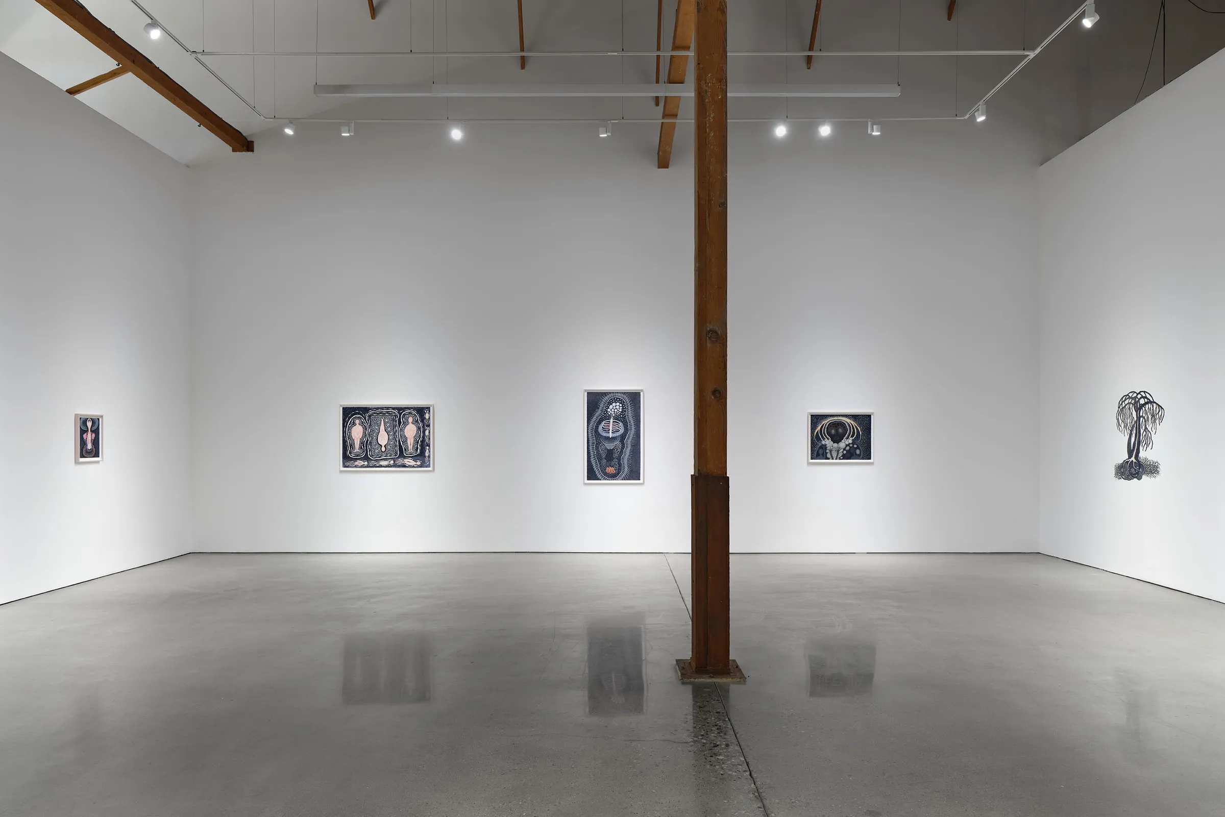 Installation view 7 of 8