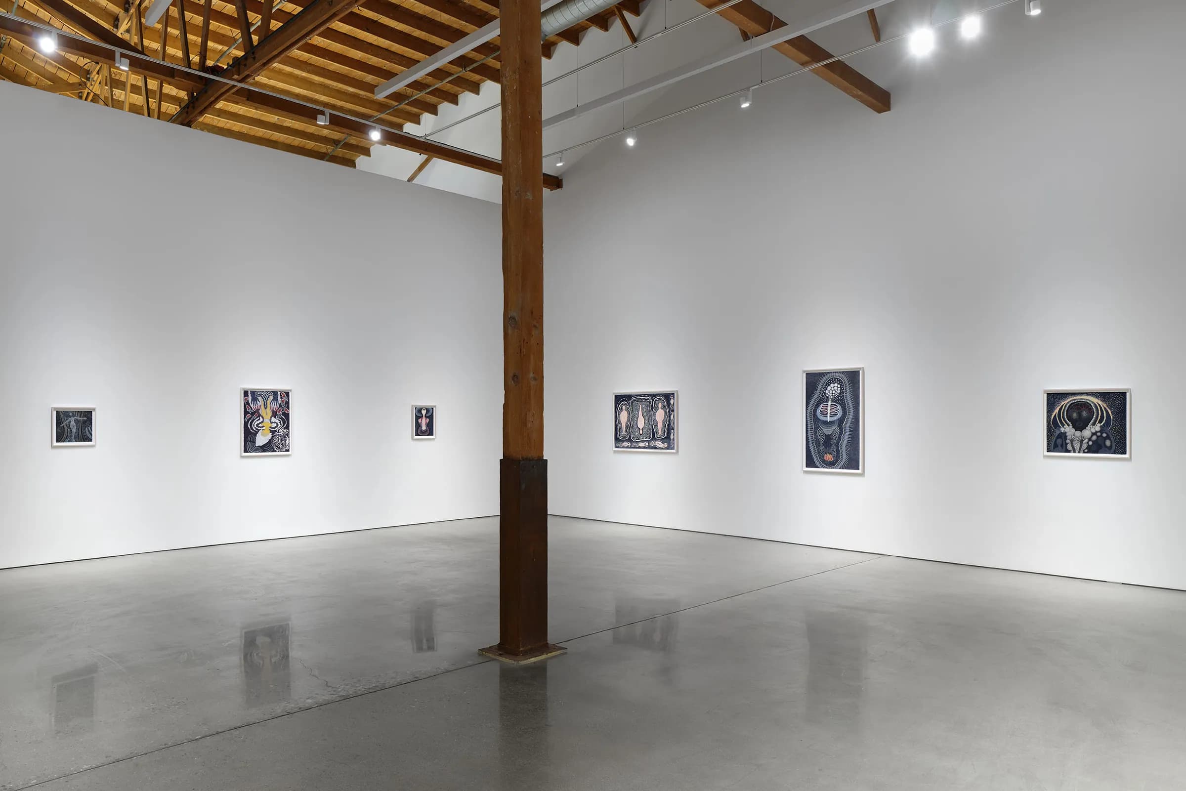 Installation view 4 of 8