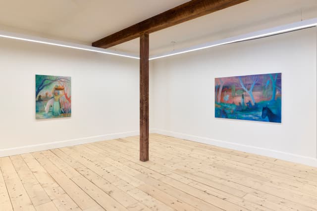 Installation view, Nastaran Shahbazi: Under The Same Skin, Scroll, New York, 2026