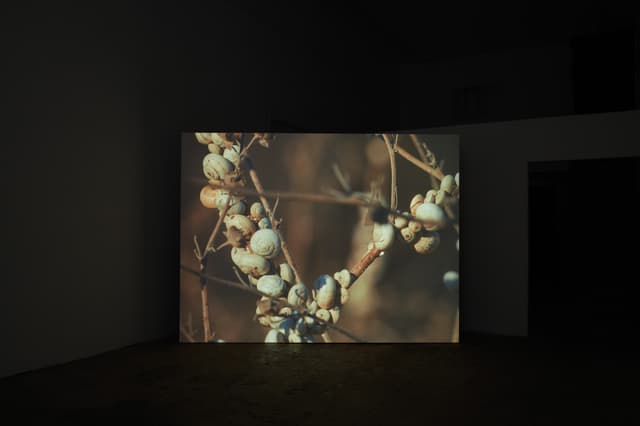Installation view, Jeffrey Stuker: L-Għajn, Ehrlich Steinberg, Los Angeles, 2026
