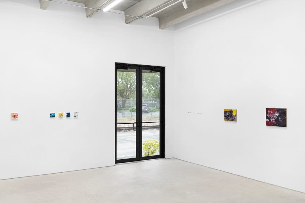 Installation view, Xi Liu: The house of day, the house of night, Andrew Reed Gallery, Miami, 2026