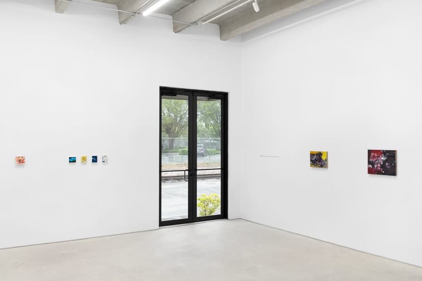 Installation view, Xi Liu: The house of day, the house of night, Andrew Reed Gallery, Miami, 2026