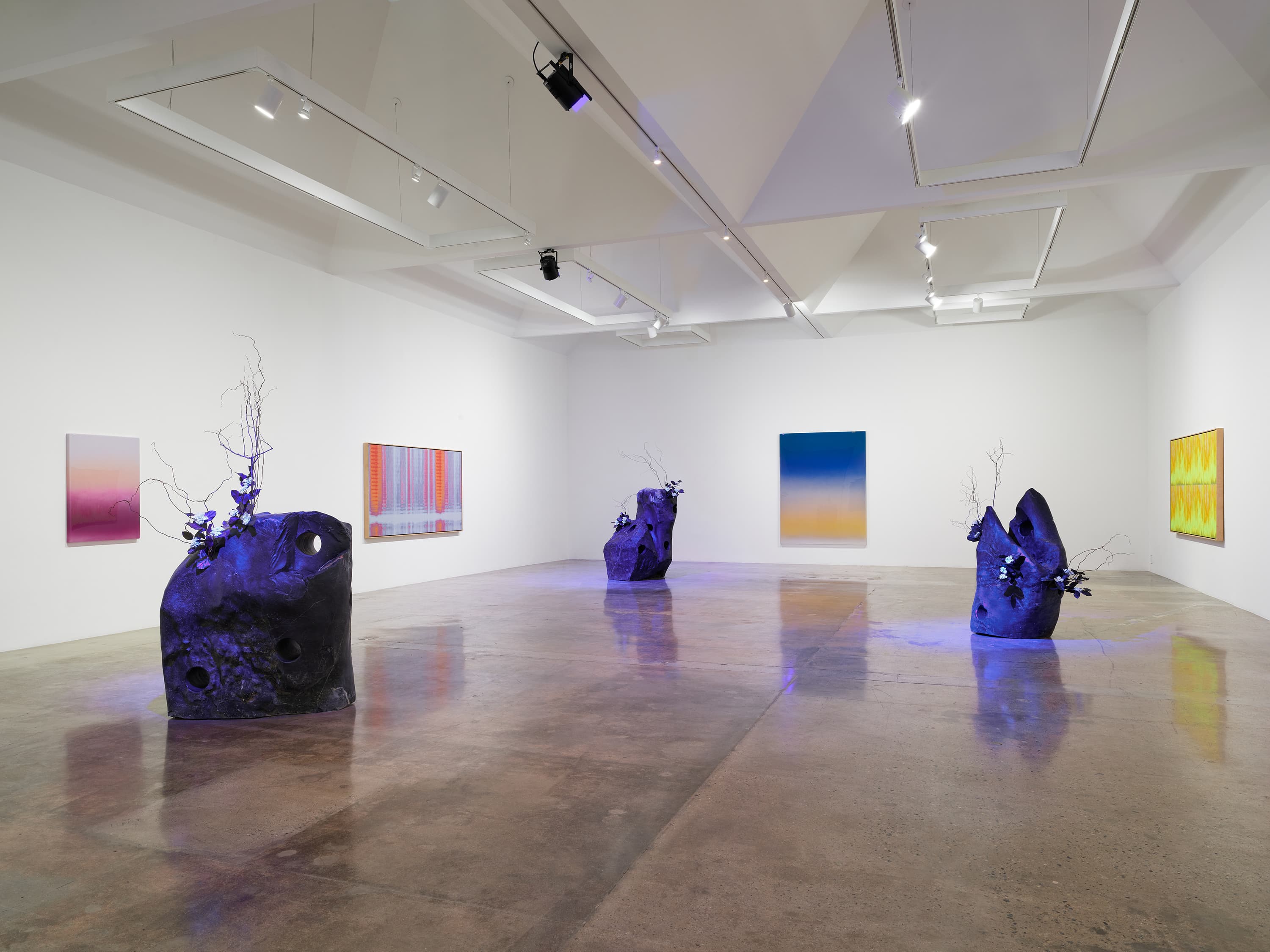 Installation view