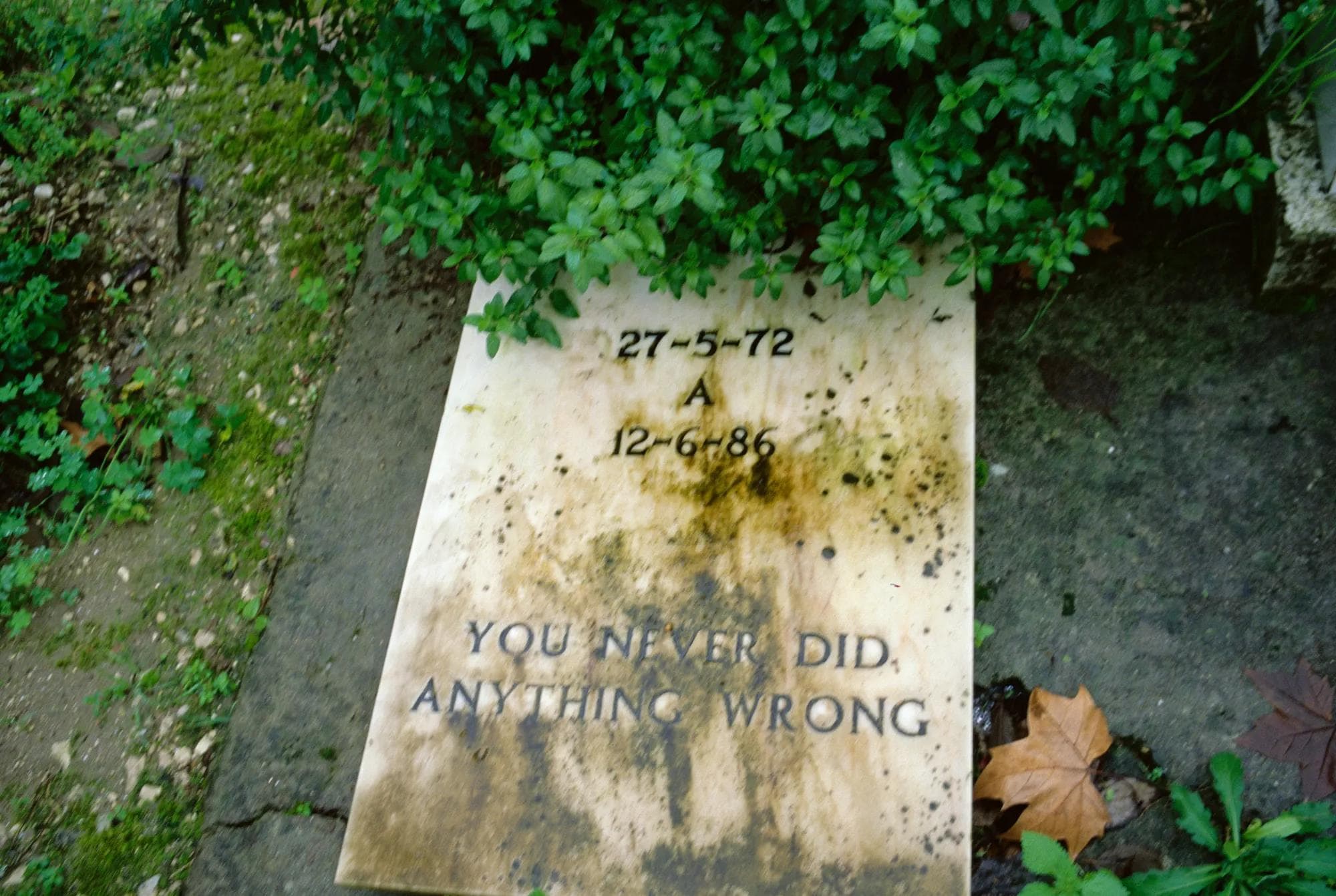 Nan Goldin, Gravestone in pet cemetery, Lisbon, 1998