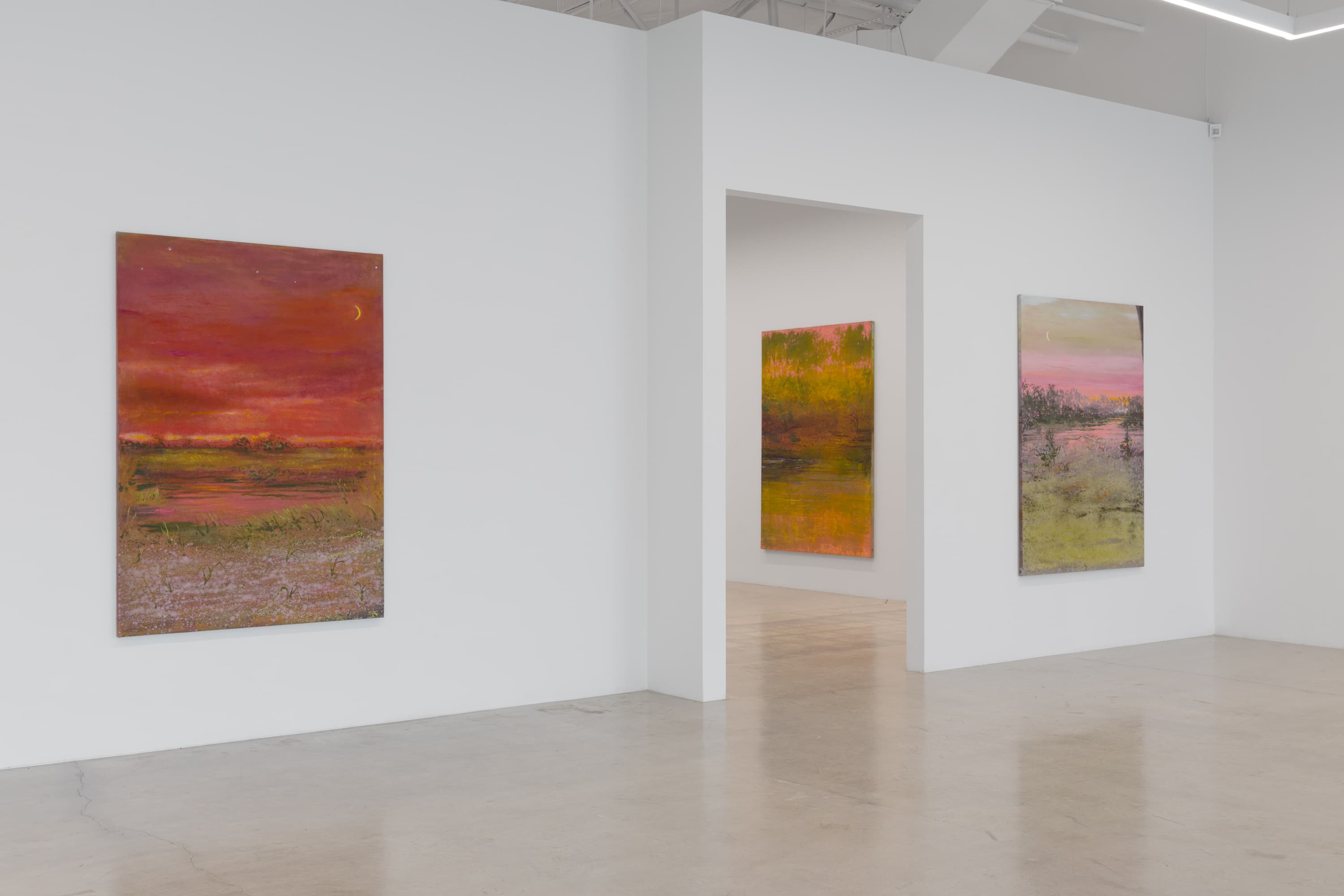 Installation view 4 of 17