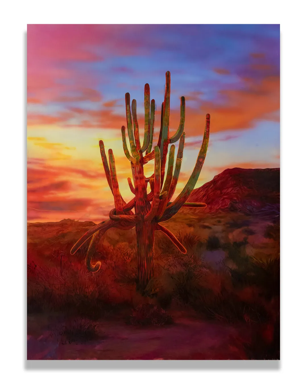 Imago: July Guzman / Sol Summers