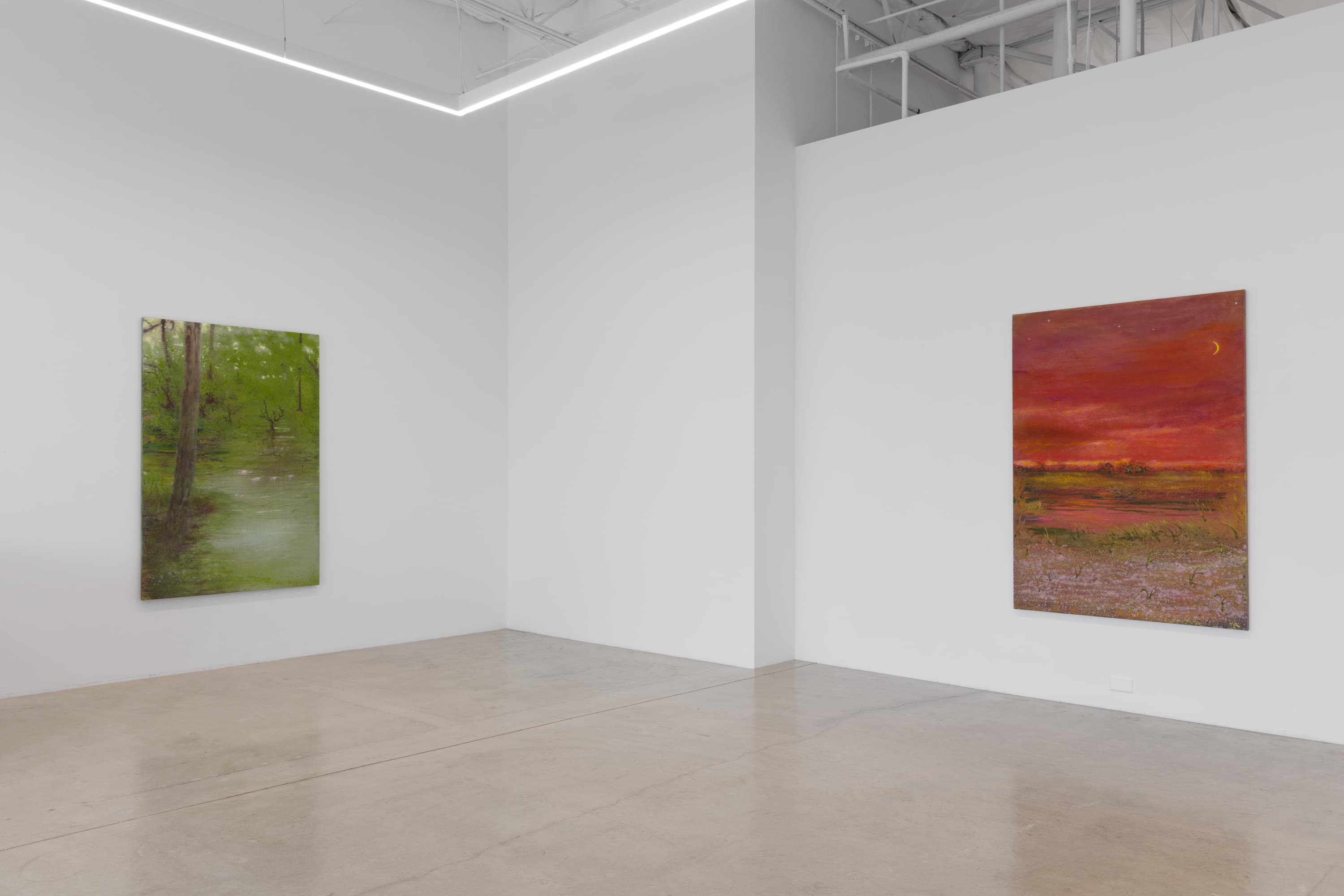 Installation view 6 of 17
