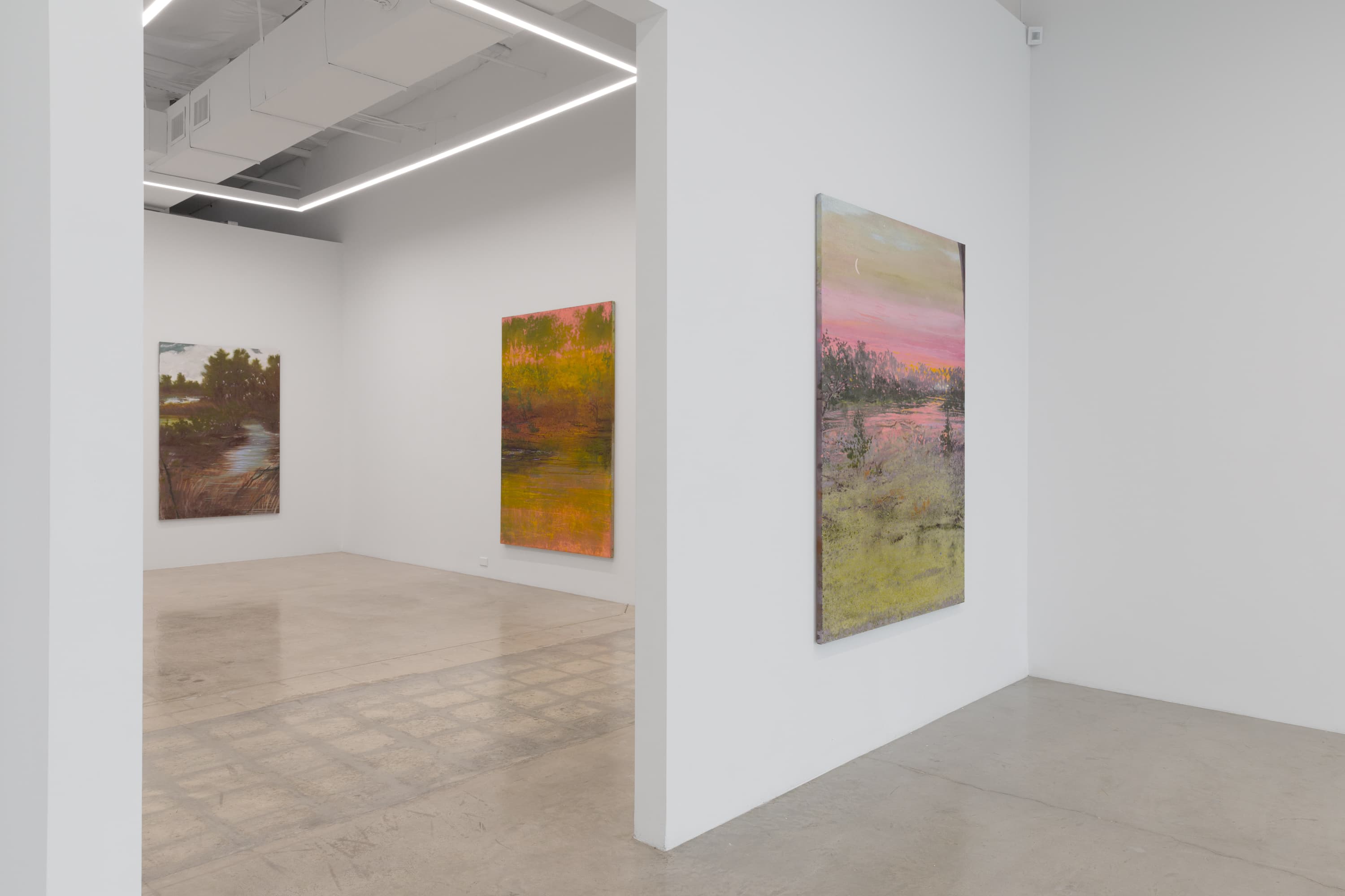 Installation view 12 of 17