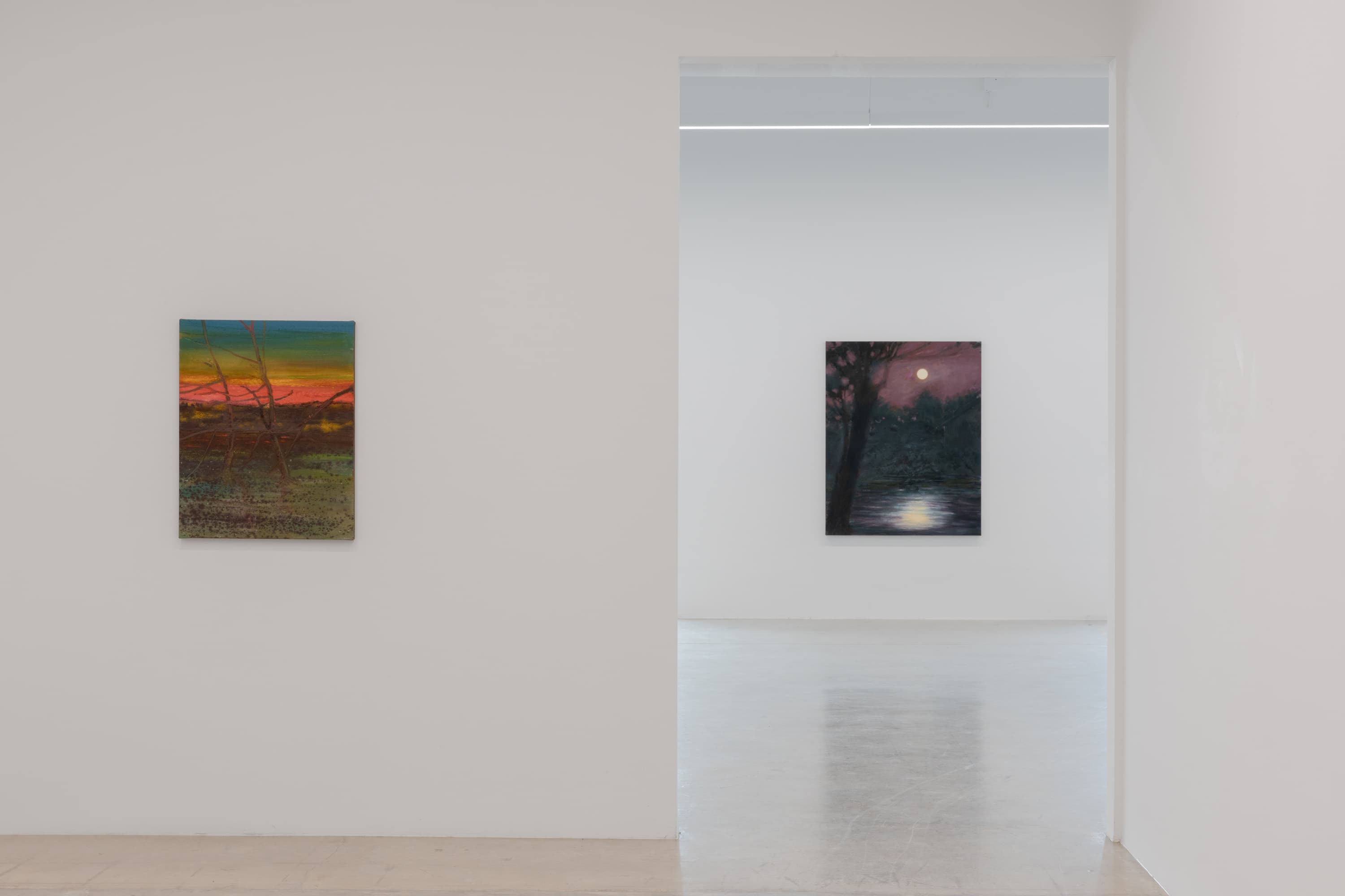 Installation view 15 of 17