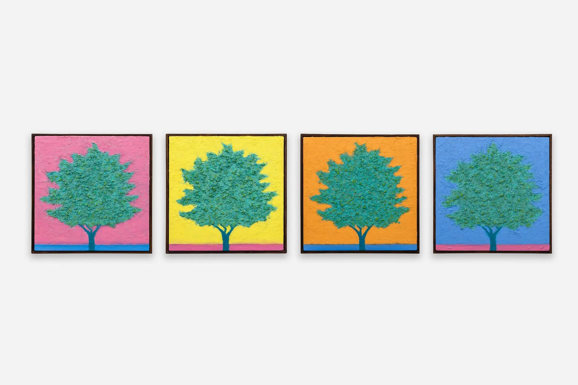 Yoab Vera, Scent of Hope: meditar junto al olivo (I, II, III, IV)