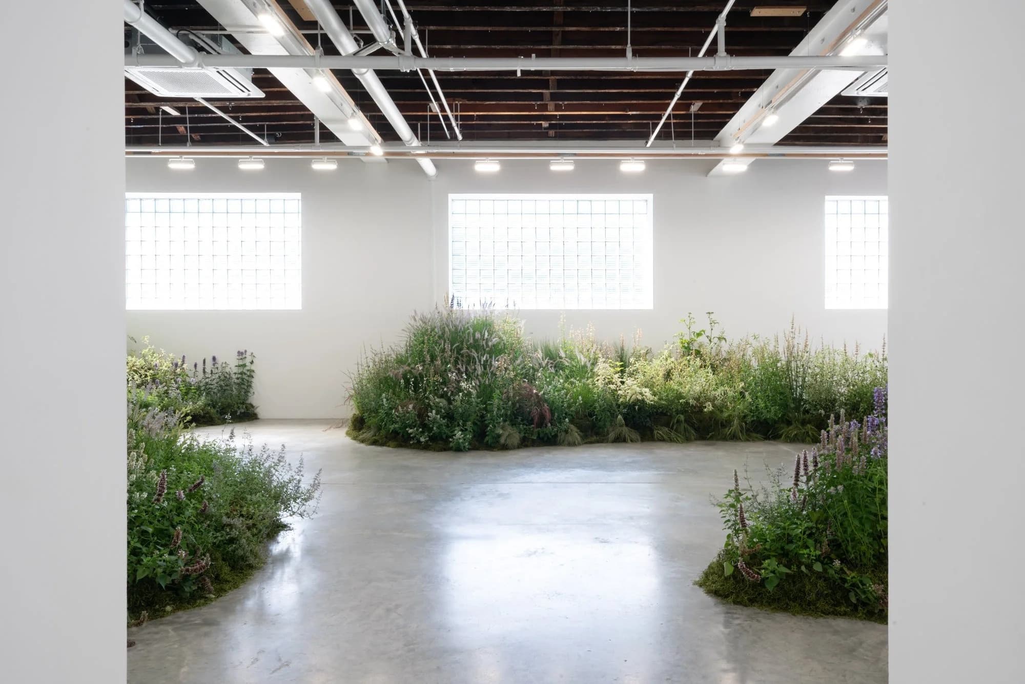 Installation view