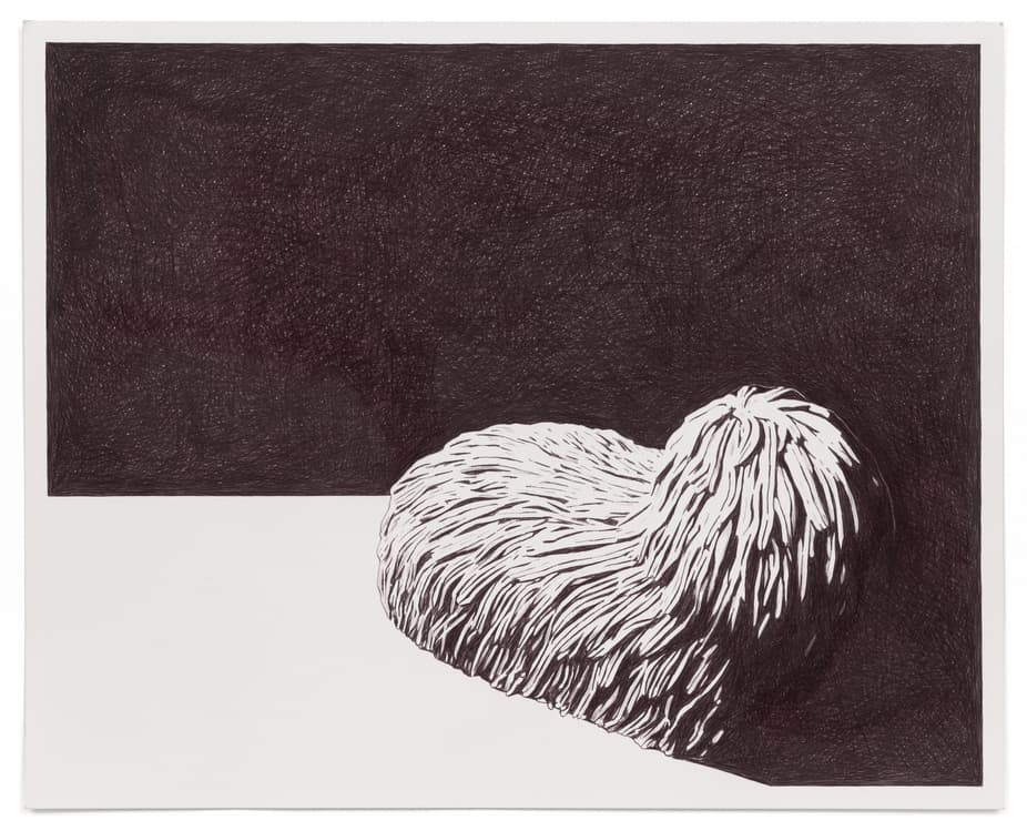 Carl D’Alvia: Paper Trail