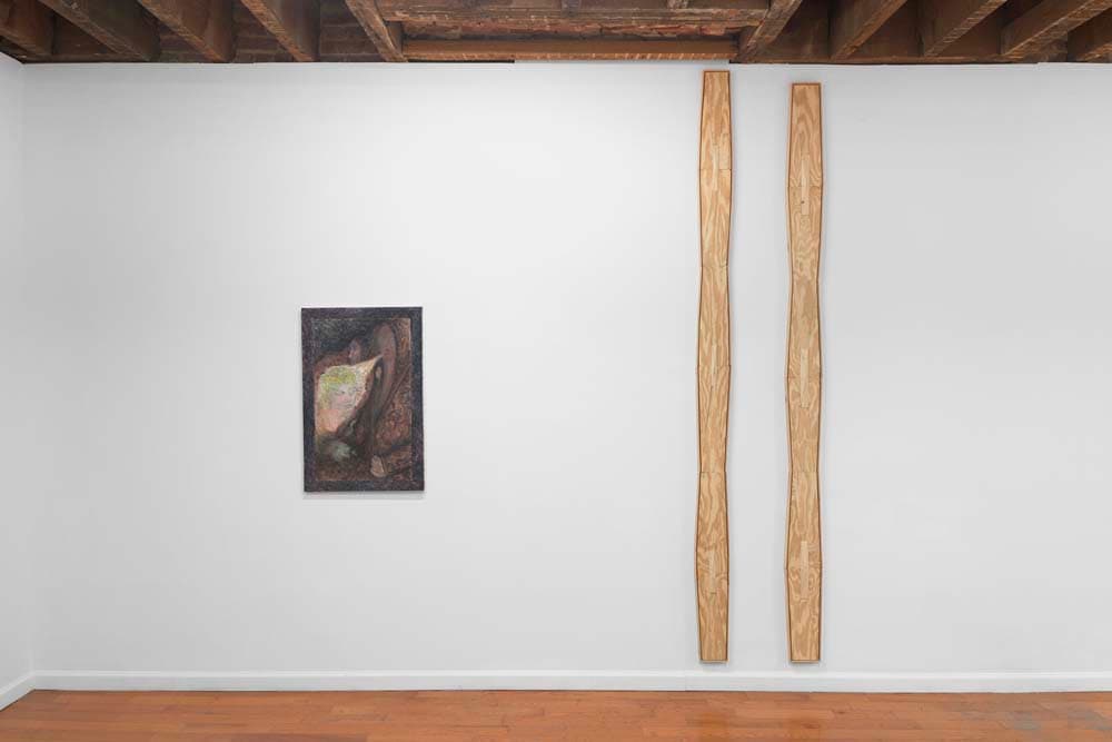 The Long Livers in the World's Hale