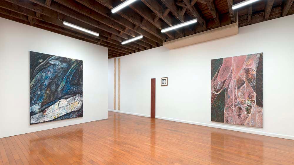 The Long Livers in the World's Hale