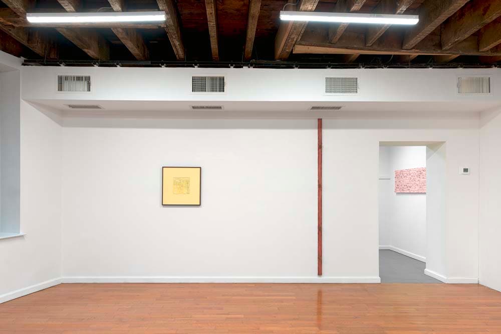 The Long Livers in the World's Hale