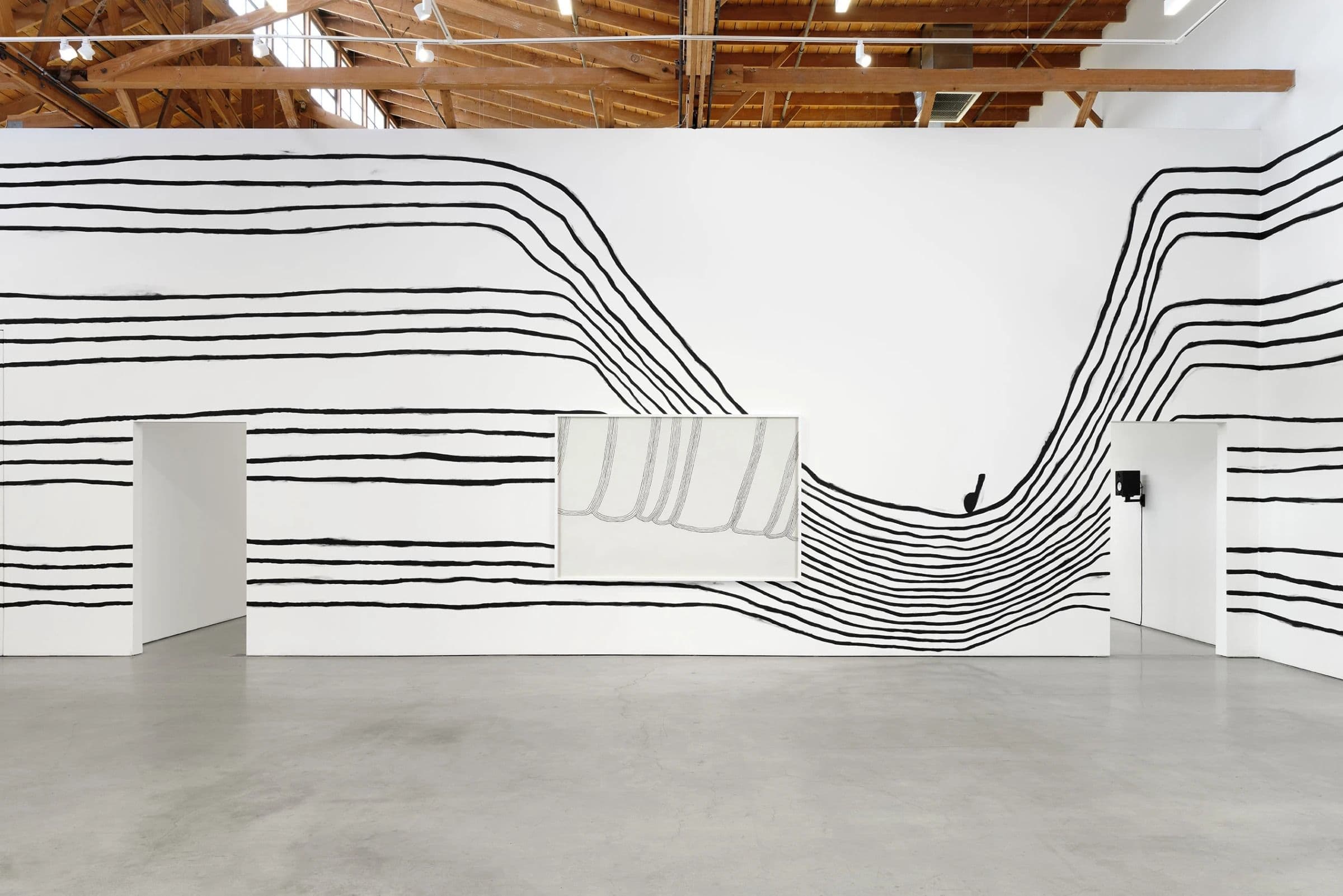 American Sigh Language