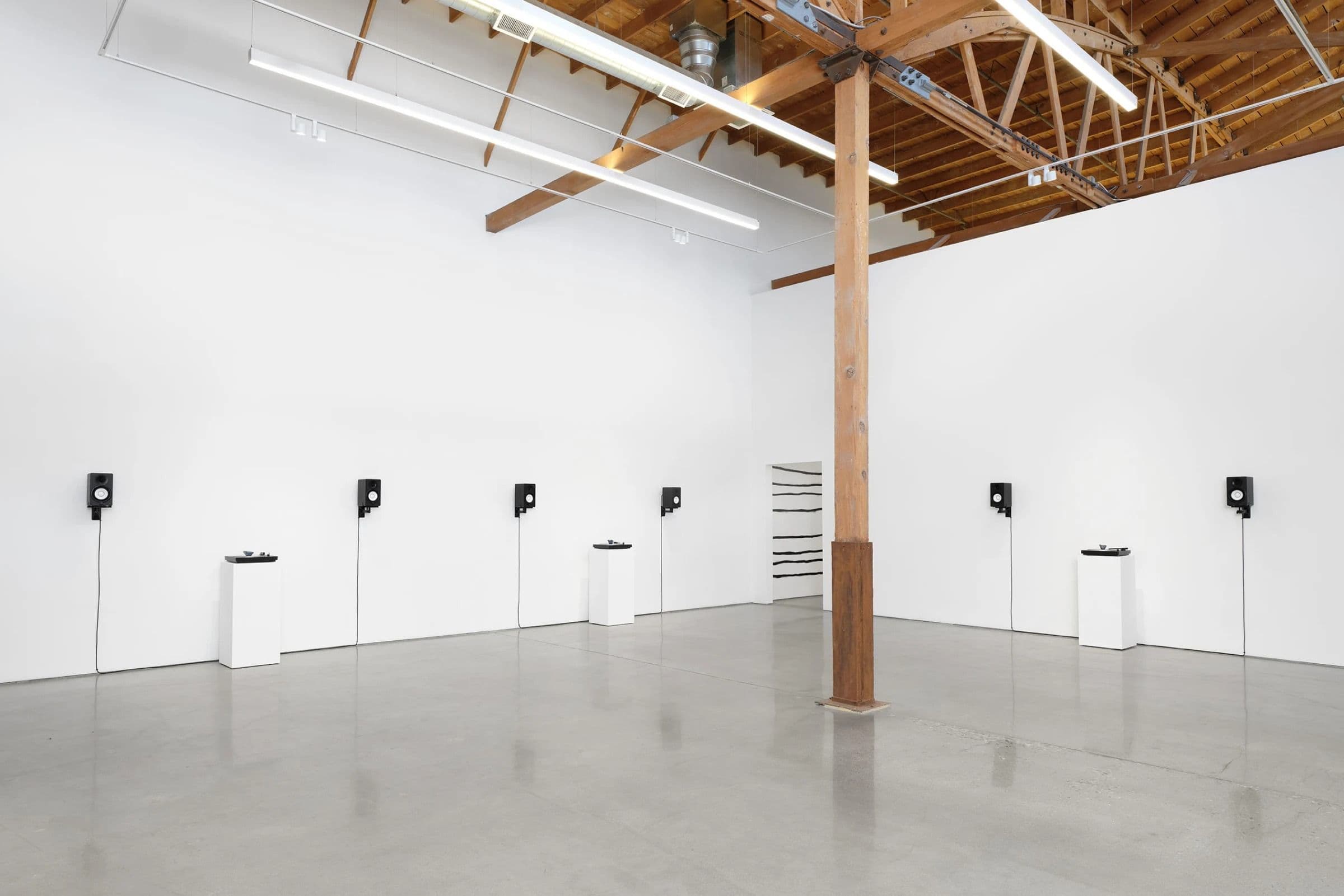 American Sigh Language