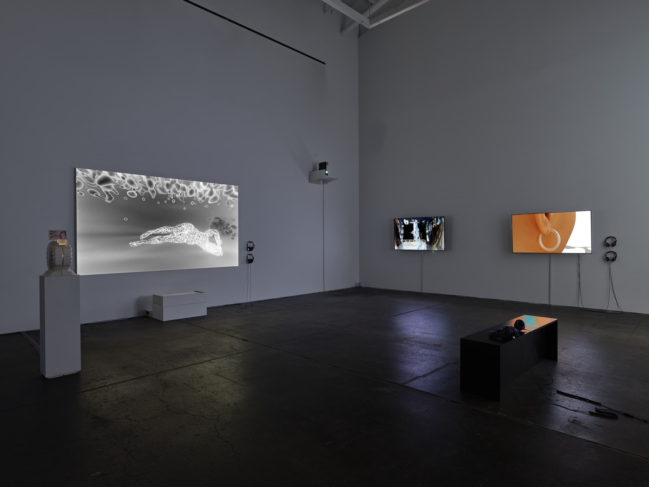 Installation view 3 of 8