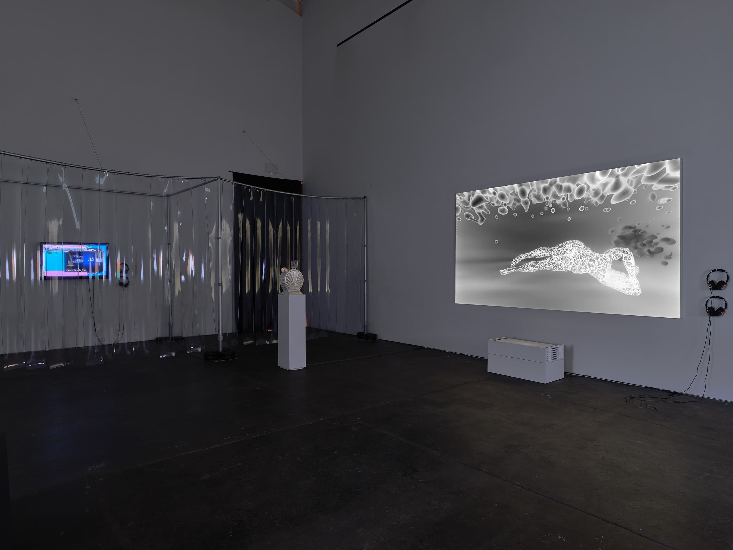 Installation view 4 of 8