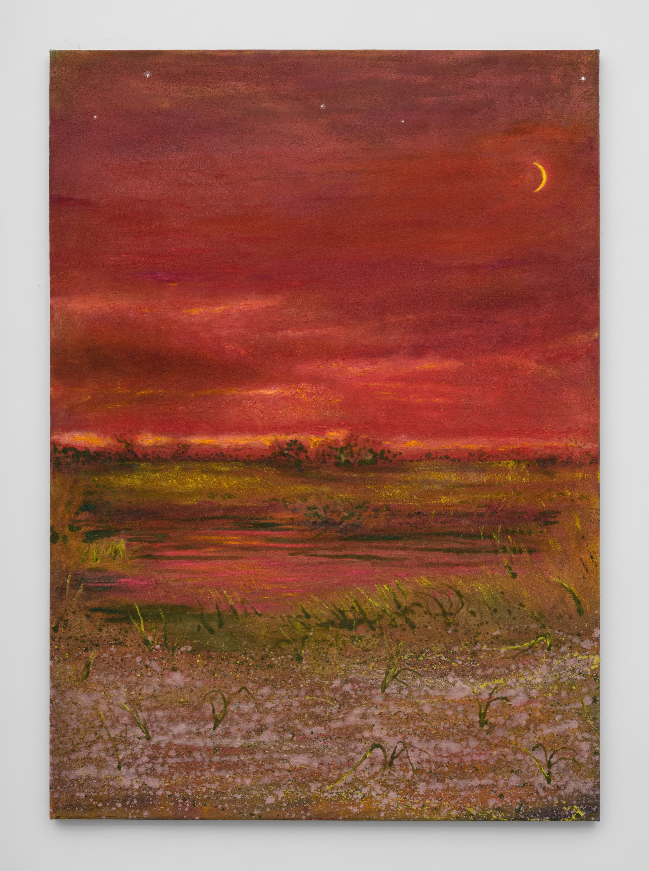 Sean Cairns: And when morning comes it comes in the morning and never at night