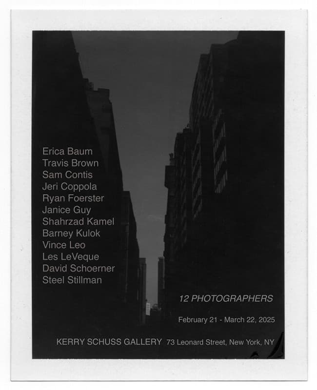 Twelve Photographers