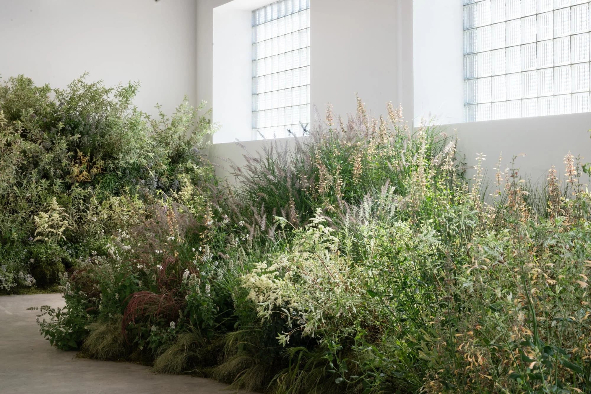 Installation view