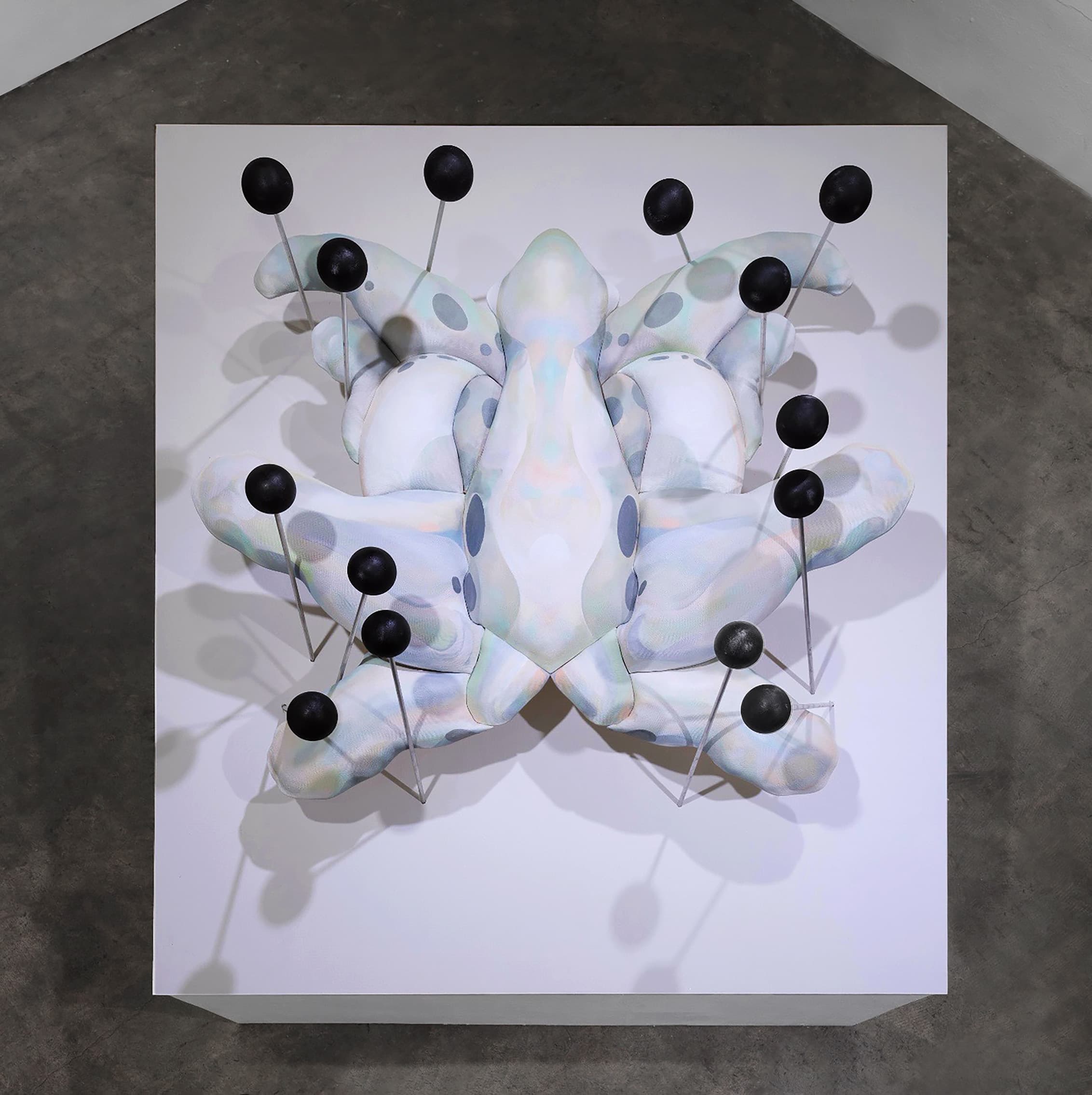 Installation view 3 of 10