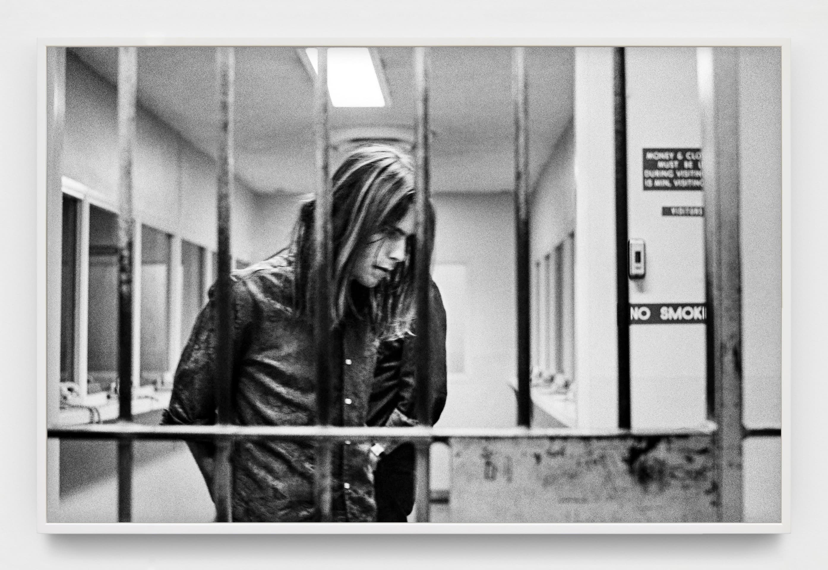 An American Beauty: Grateful Dead 1965–1995