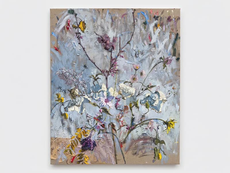 A passing shadow and a vanishing cloud