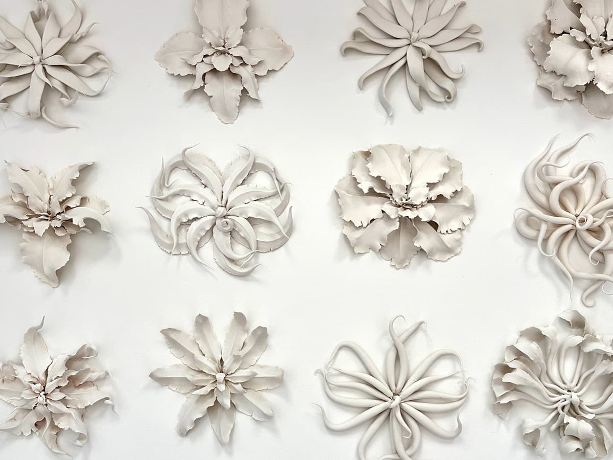 Christopher Adams: Biomorphic Moments