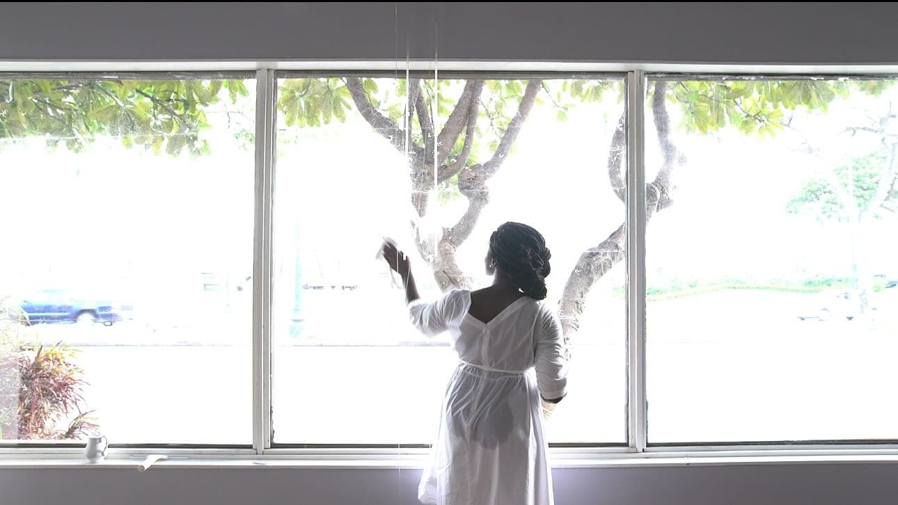 Nanci Amaka: Cleanse, Windows