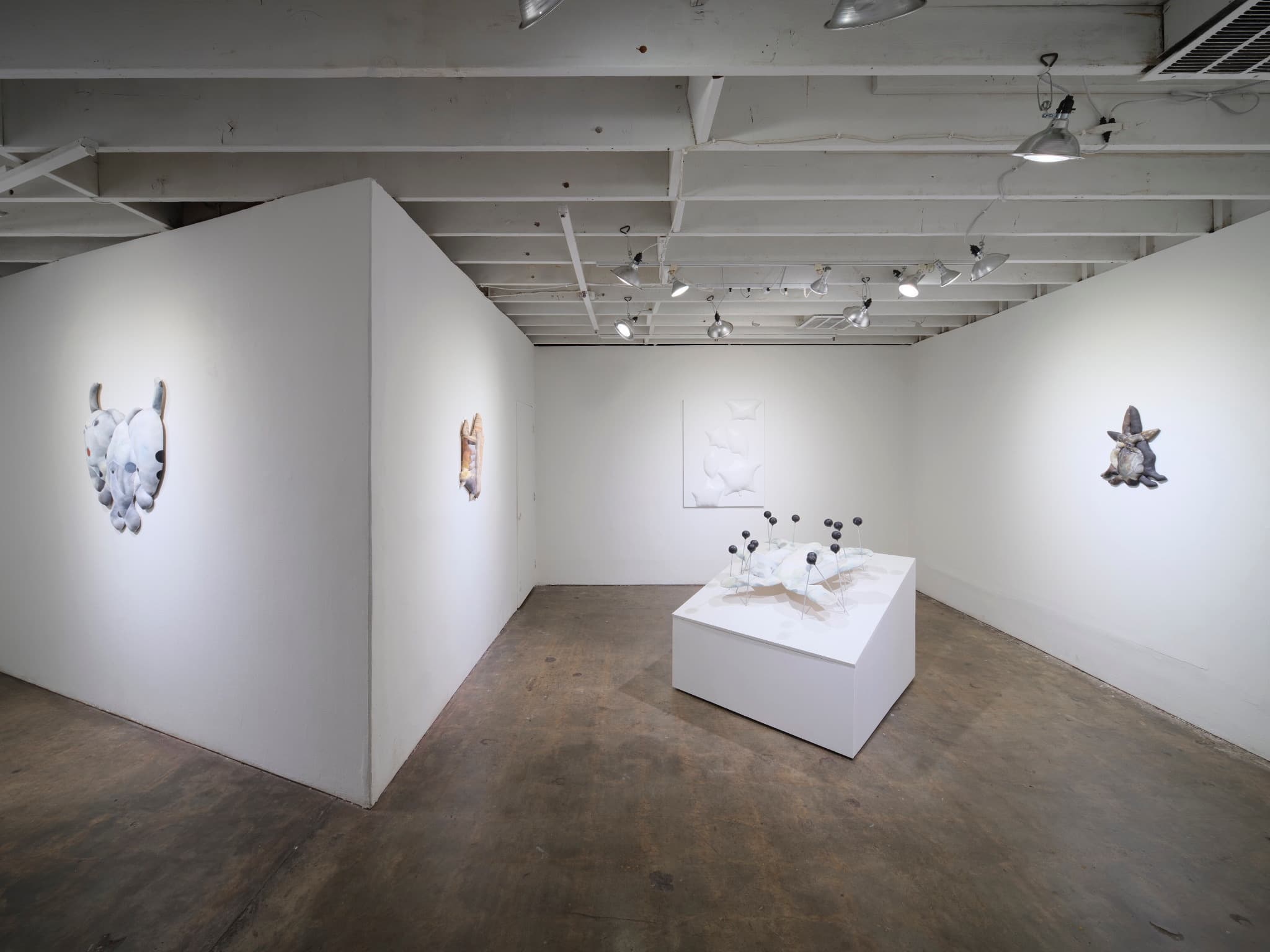 Installation view 4 of 10