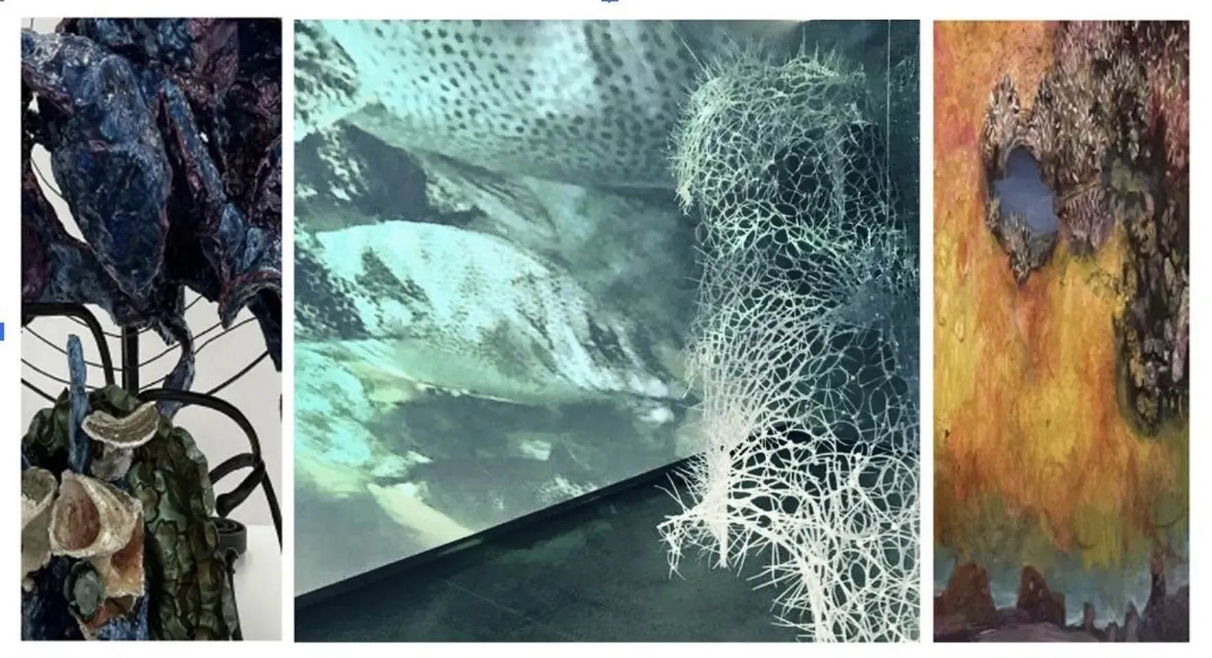 Disrupting Tomorrow: Embodiment of Post-Human Feminism, Nature and the Post Colonial Unseen