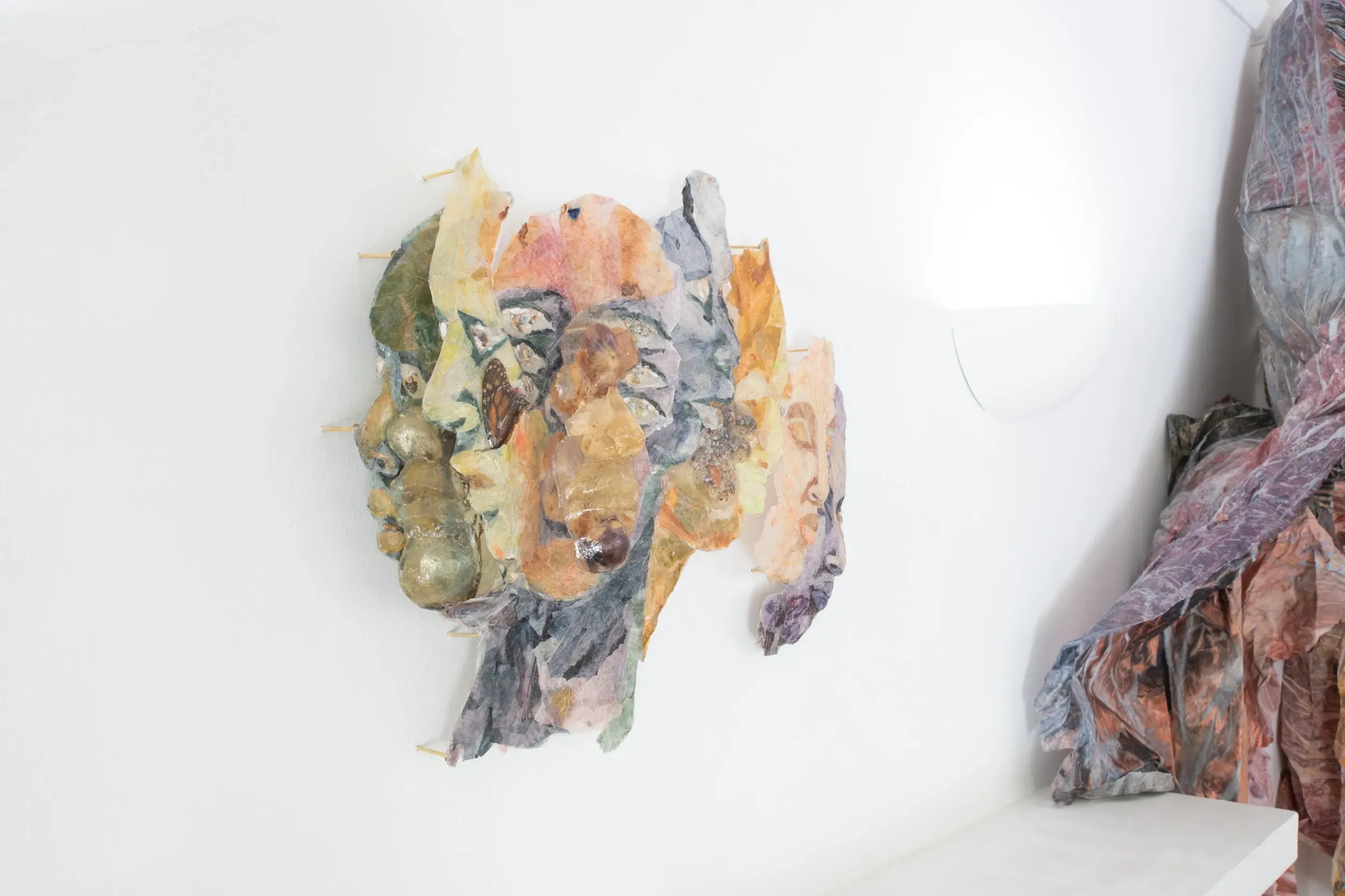 Vanessa Wallace-Gonzales: Echoes