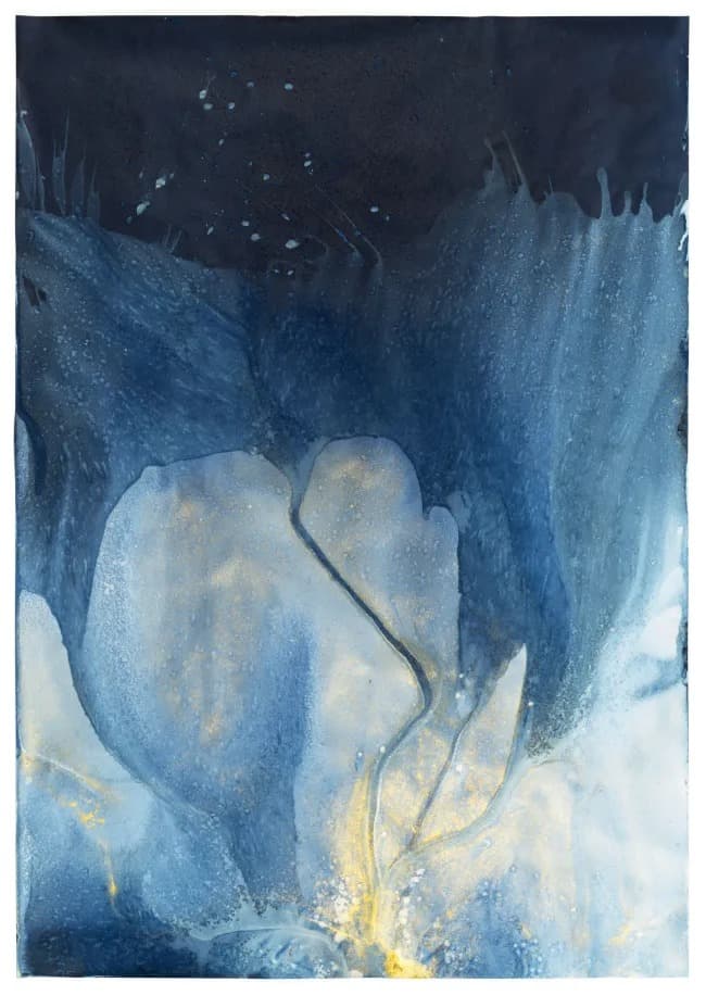 Elemental II: Photography and the Hand of Nature