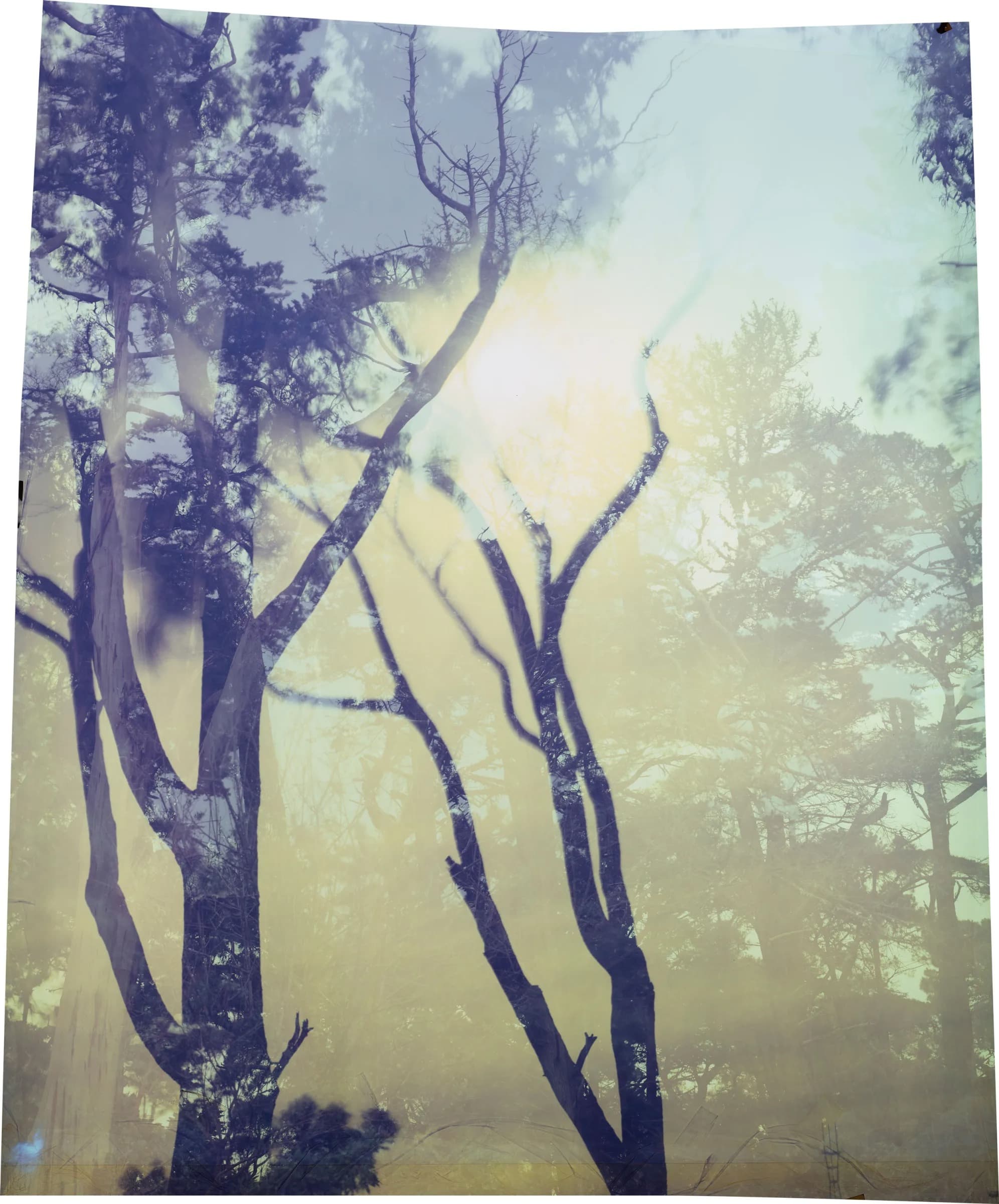 Elemental II: Photography and the Hand of Nature
