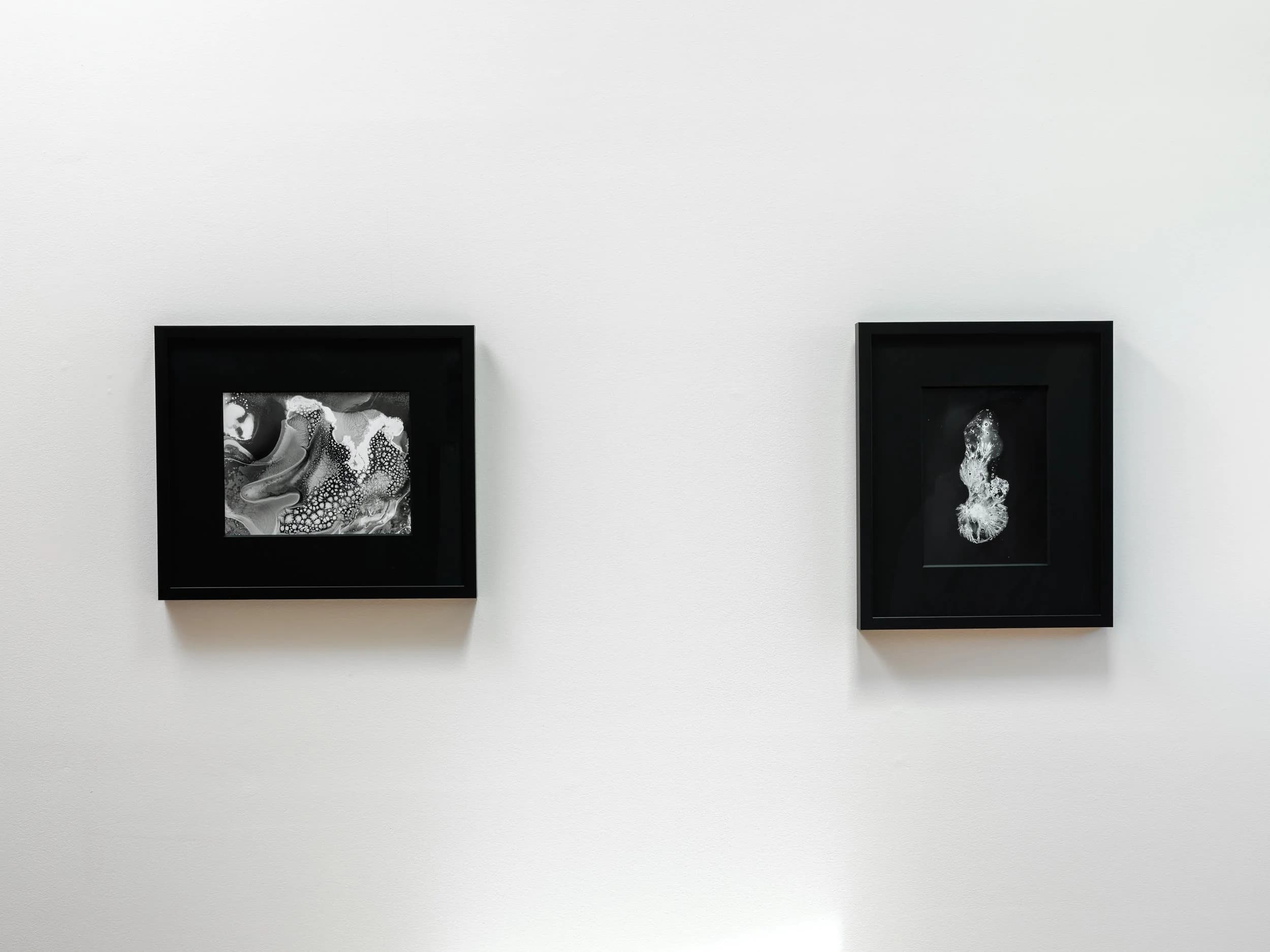 Installation view 5 of 9