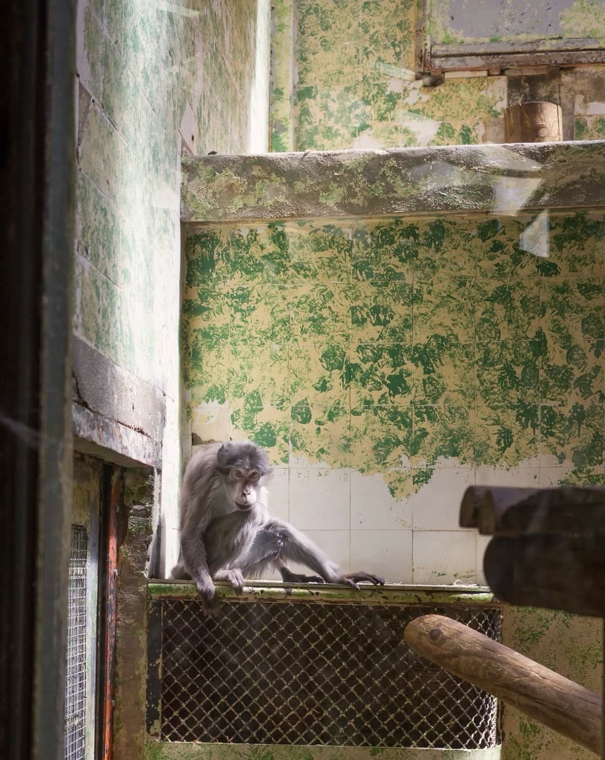 Hertta Kiiski: Fever Dream