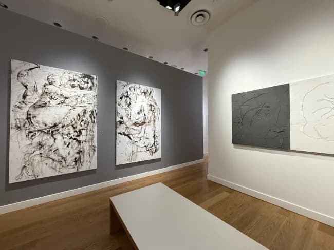 Installation view 5 of 8