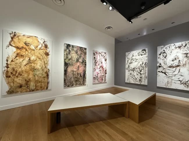 Installation view 8 of 8