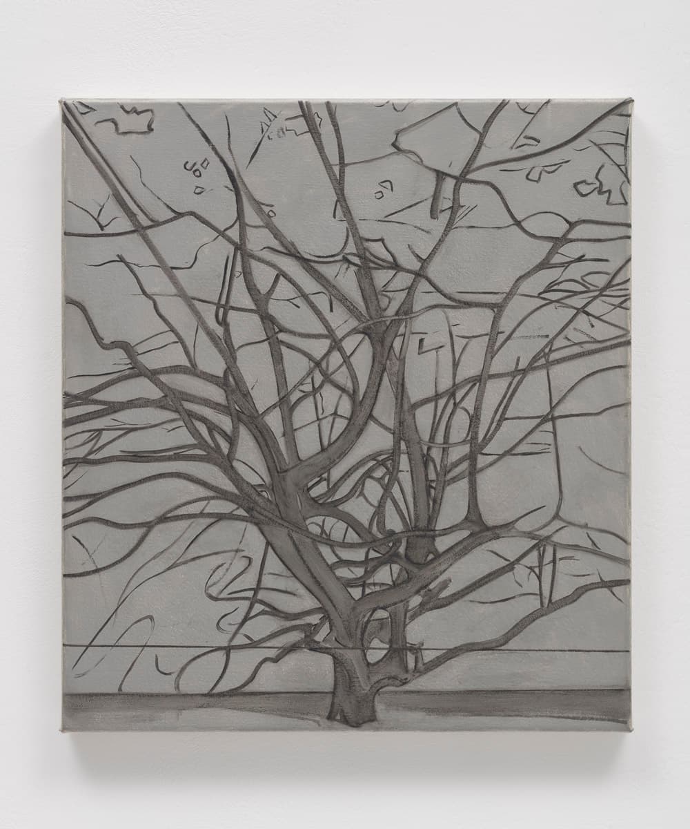 Gillian Carnegie