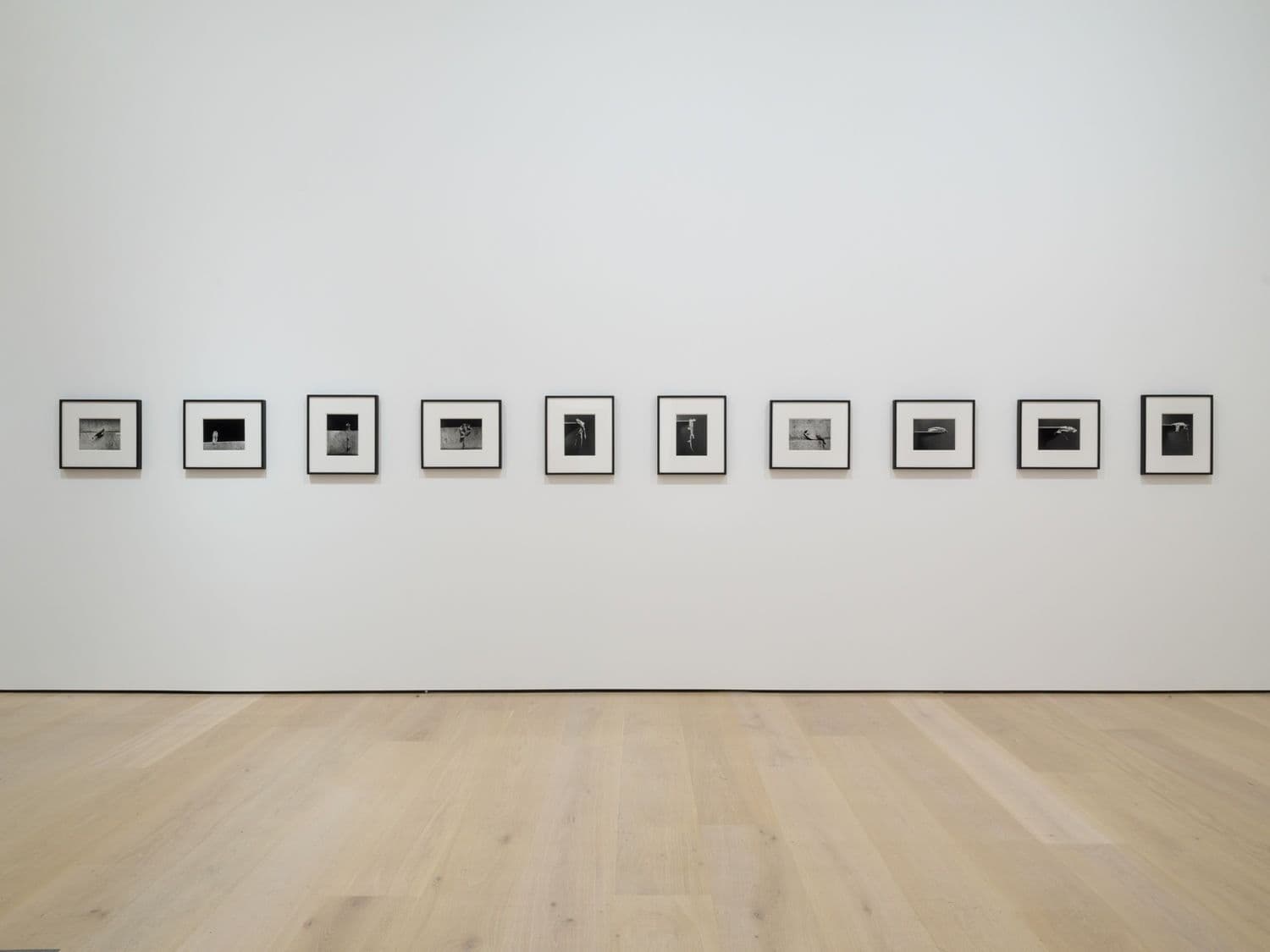 HEAD FOR THE HILLS! Selections from the Grunwald Center and Hammer Contemporary Collection