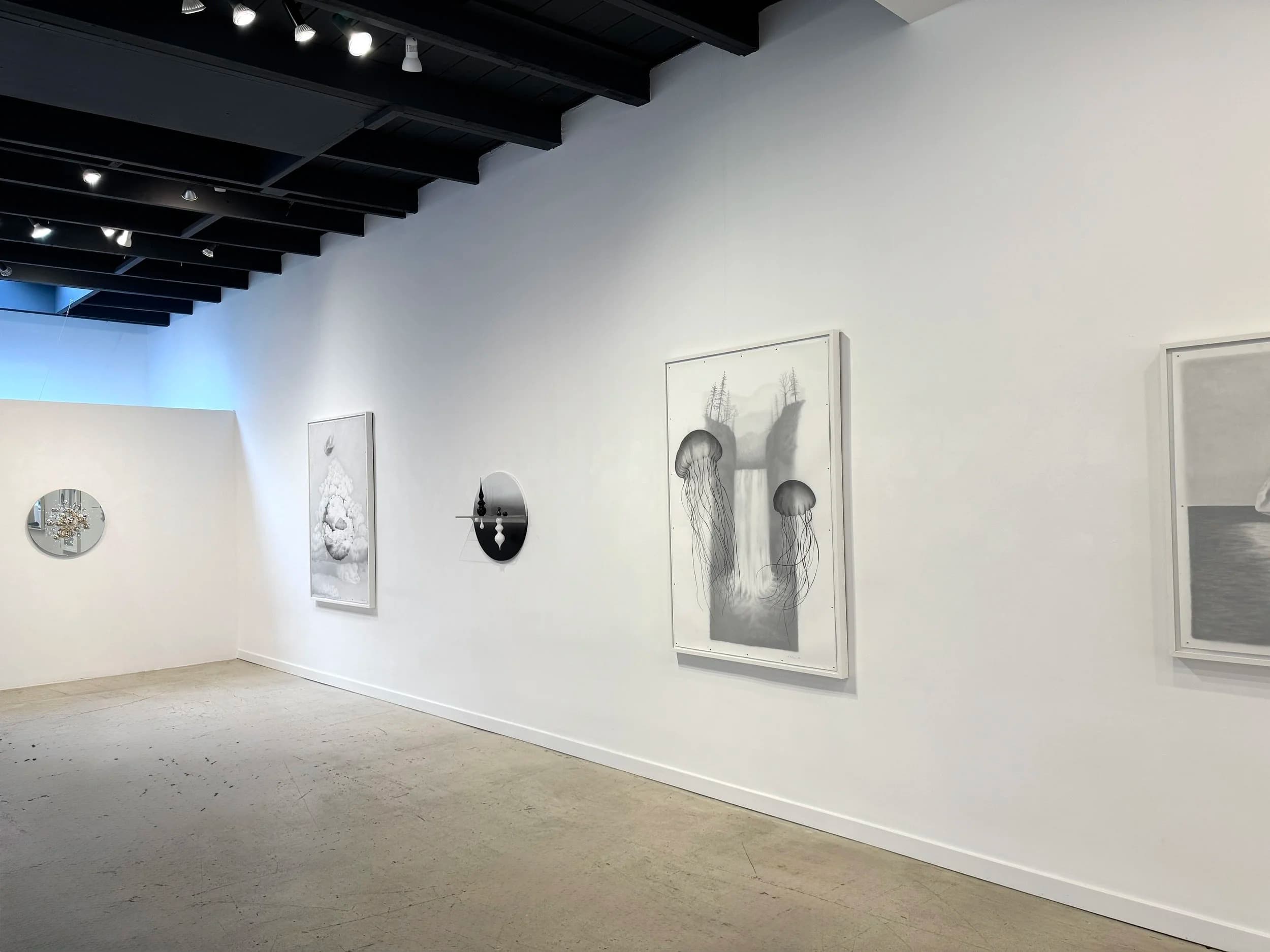 Installation view, Mirrored Dreams, TINT Gallery, San Francisco, 2026
