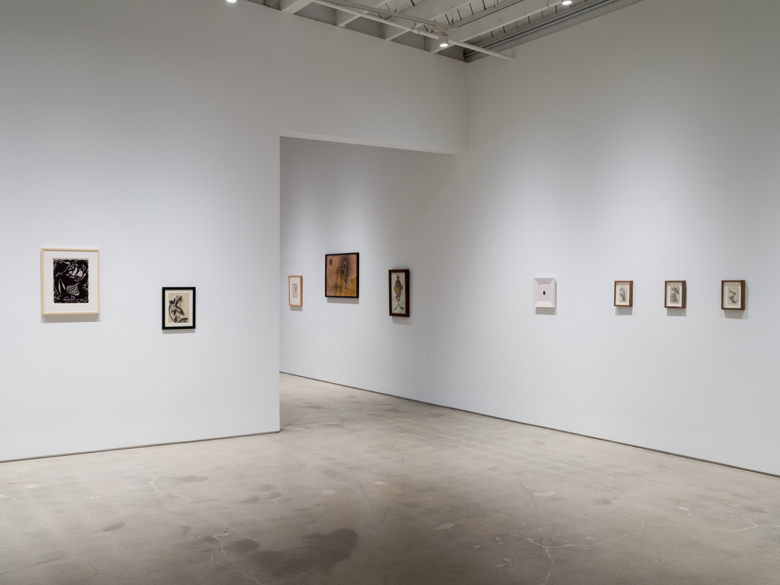 Installation view 1 of 18