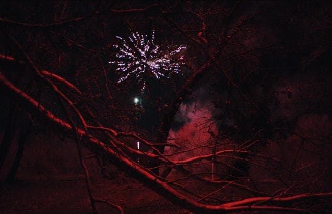 MATRIX 288 / Andro Eradze: Shifting Stillness