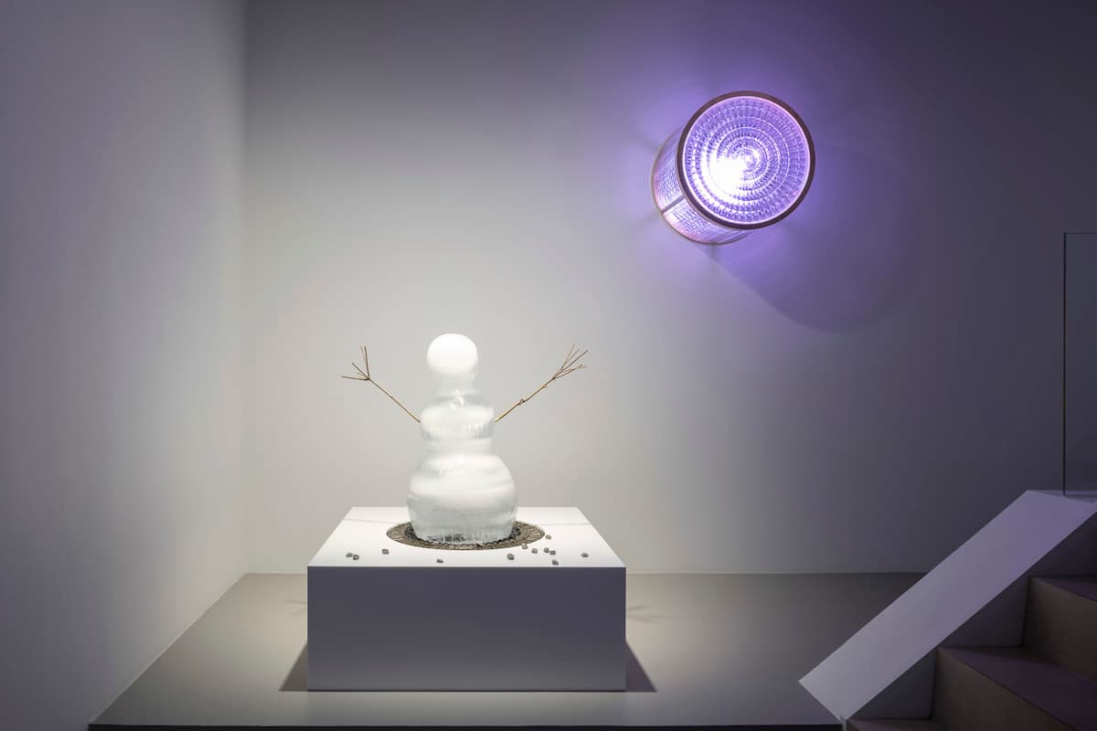 Installation view