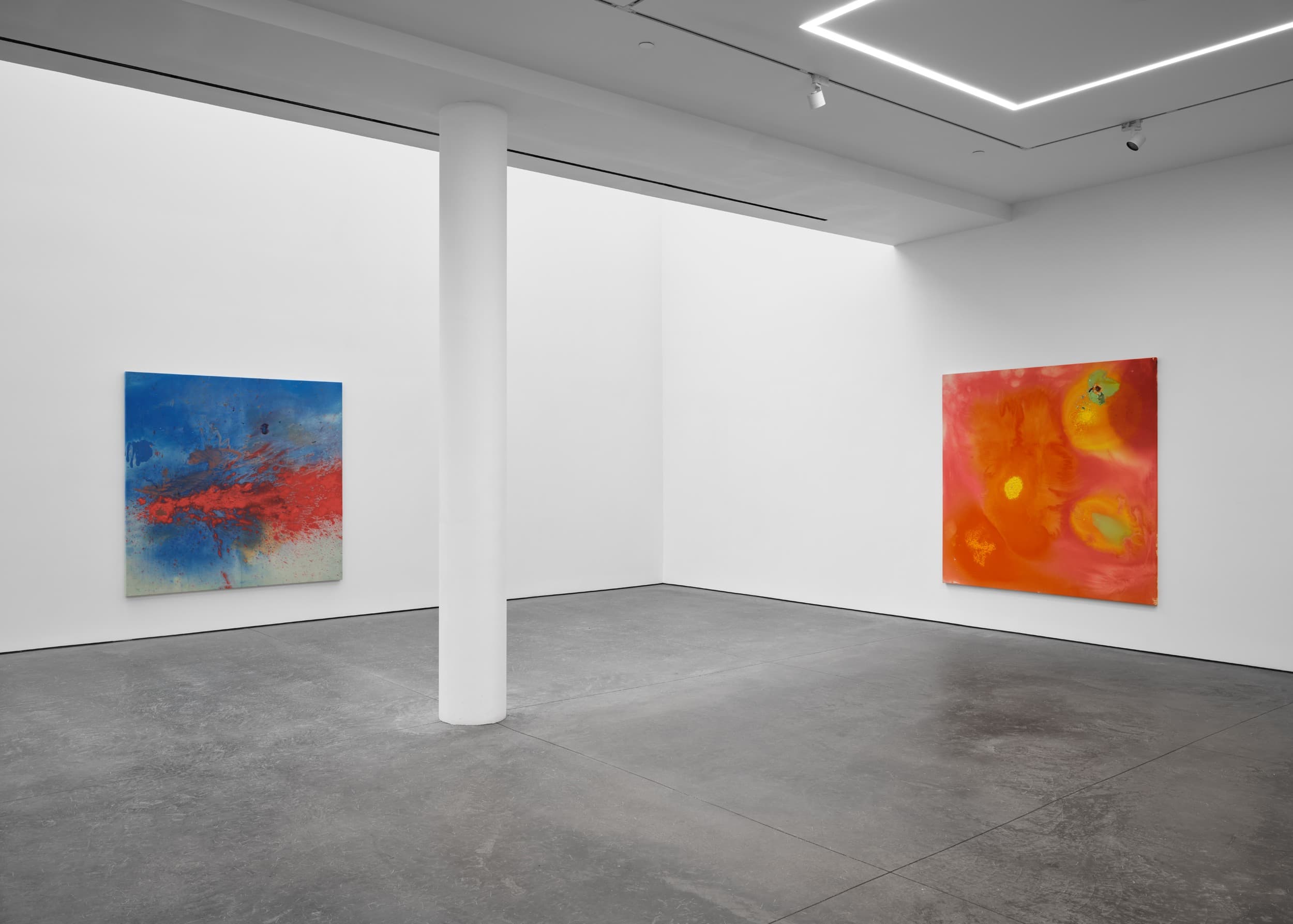 Installation view 1 of 8