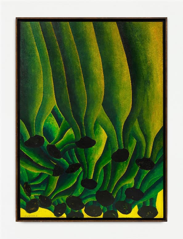 Organic Fictions
