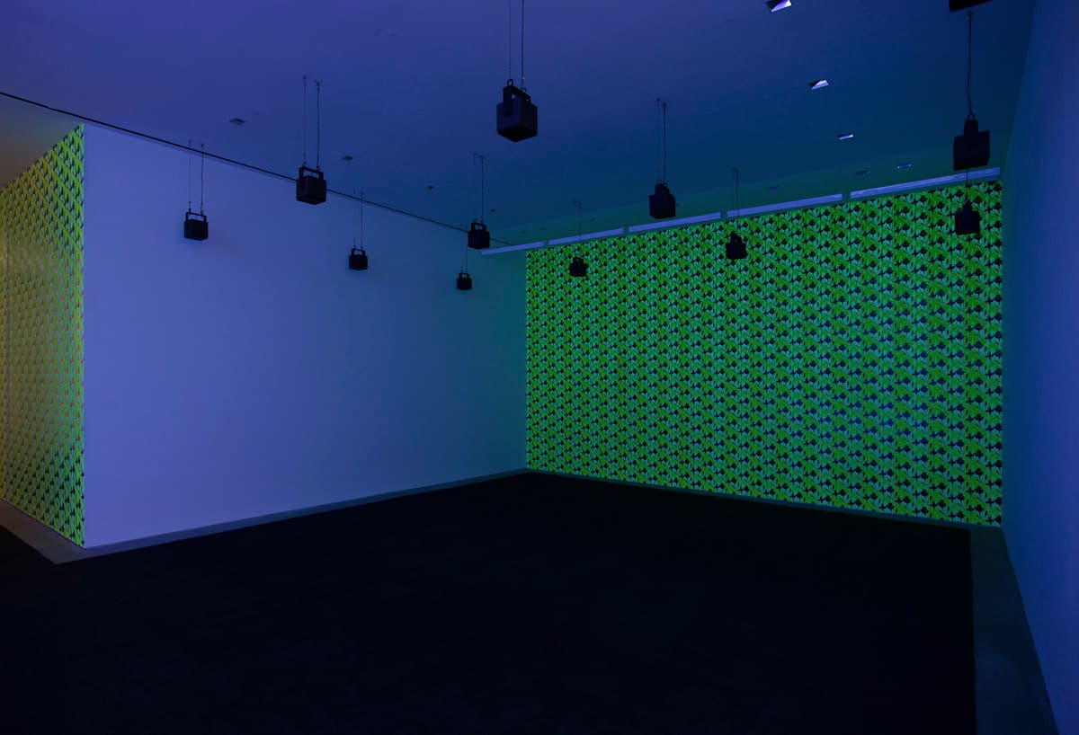 Installation view