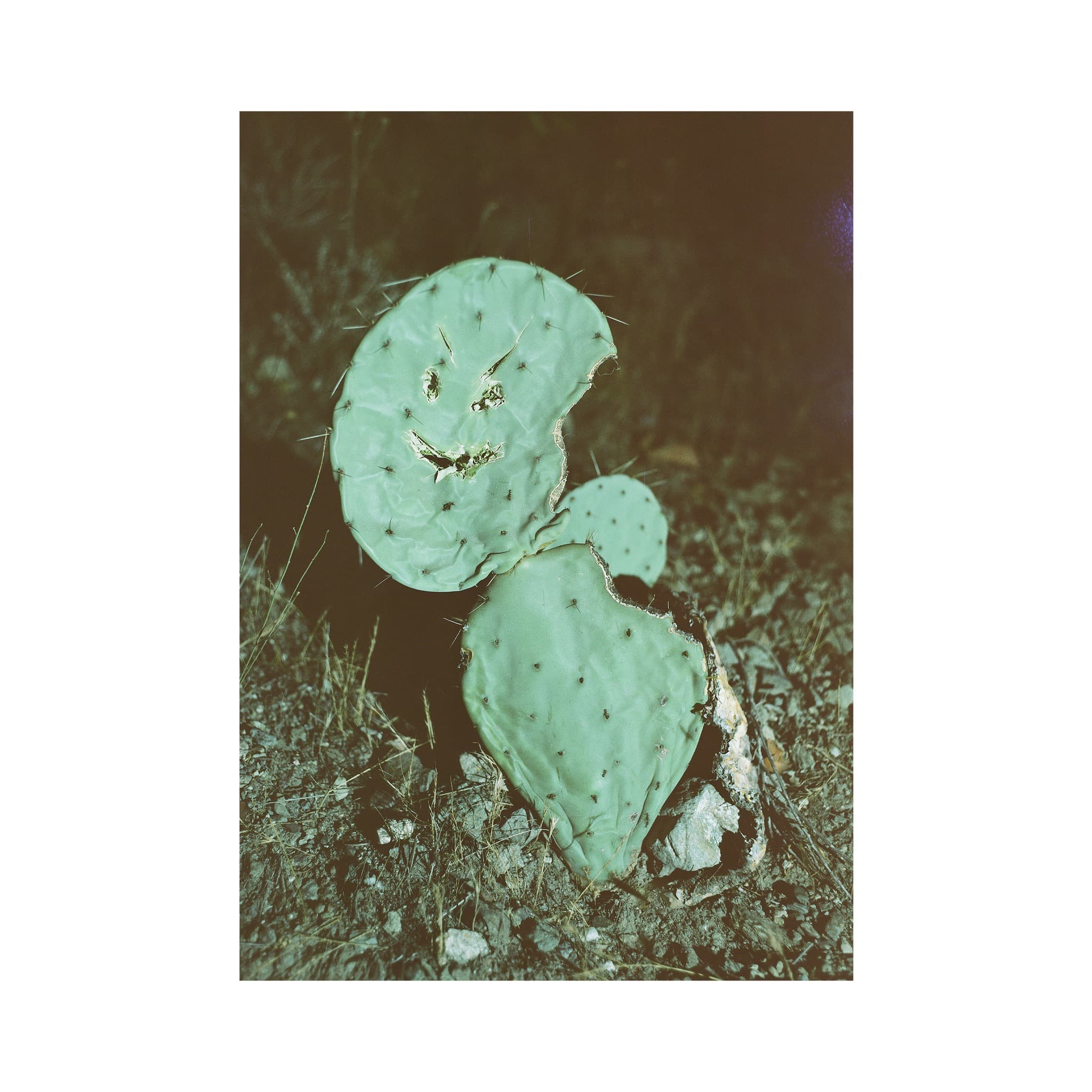 Grant Gutierrez: Perfect Pass